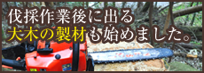 伐採作業後に出る大木の製材も始めました。