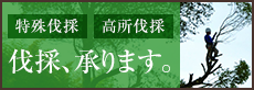 特殊伐採・高所伐採