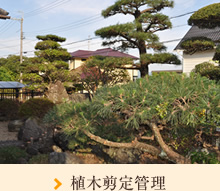 庭の改造・その後の管理