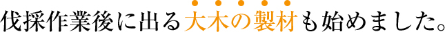 伐採作業後に出る大木の製材も始めました。