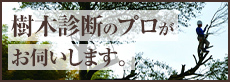 樹木診断のプロがお伺いします。