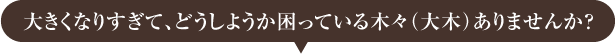 大きくなりすぎて、どうしようか困っている木々（大木）ありませんか？