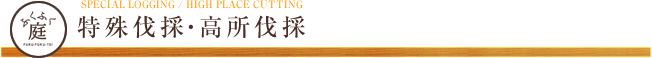 特殊伐採・高所伐採