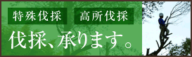 特殊伐採・高所伐採